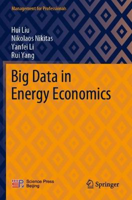 Big Data in Energy Economics 1st ed. 2022