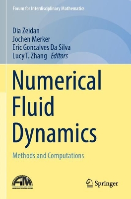 Numerical Fluid Dynamics: Methods and Computations 2022 ed.