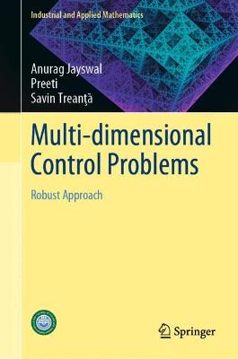 Multi-dimensional Control Problems: Robust Approach 2022 ed.