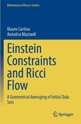 Einstein Constraints and Ricci Flow: A Geometrical Averaging of Initial Data Sets 2023 ed.