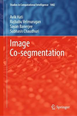 Image Co-segmentation 2023 ed.