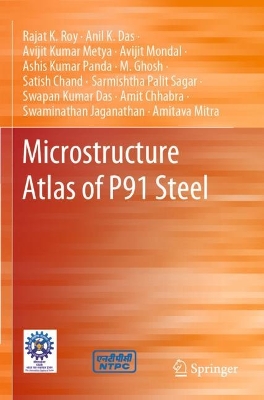 Microstructure Atlas of P91 Steel 2023 ed.