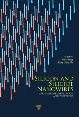 Silicon and Silicide Nanowires: Applications, Fabrication, and Properties