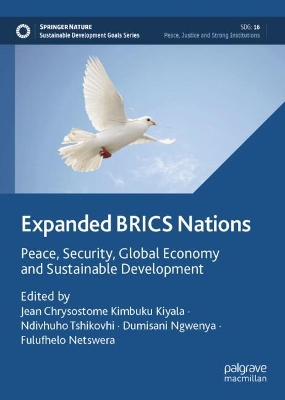 Expanded BRICS Nations: Peace, Security, Global Economy and Sustainable Development