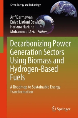 Decarbonizing Power Generation Sectors Using Biomass and Hydrogen-Based Fuels: A Roadmap to Sustainable Energy Transformation 2024 ed.