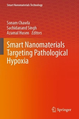Smart Nanomaterials Targeting Pathological Hypoxia 2023 ed.