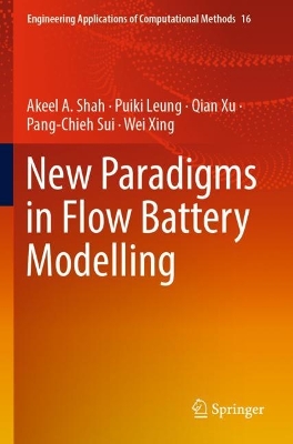 New Paradigms in Flow Battery Modelling 2023 ed.