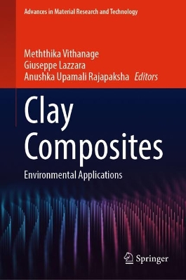 Clay Composites: Environmental Applications 2023 ed.