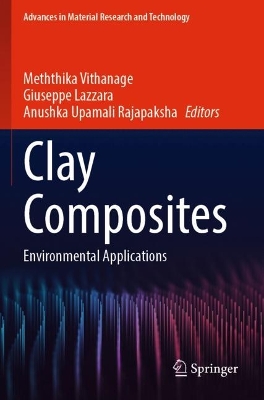 Clay Composites: Environmental Applications 2023 ed.