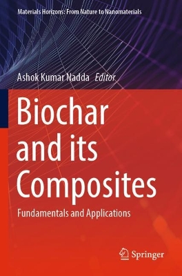 Biochar and its Composites: Fundamentals and Applications 2023 ed.