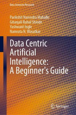 Data Centric Artificial Intelligence: A Beginner's Guide
