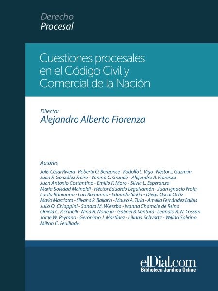 Cuestiones procesales en el CÃ³digo Civil y Comercial de la NaciÃ³n