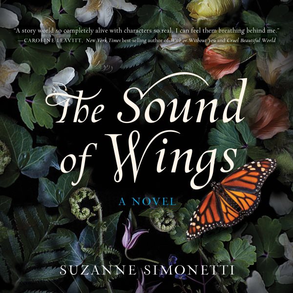 Sound of Wings