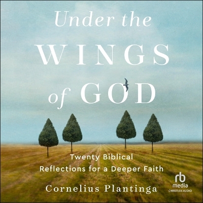 Under the Wings of God: Twenty Biblical Reflections for a Deeper Faith Unabridged edition