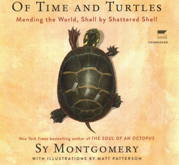 Of Time and Turtles: Mending the World, Shell by Shattered Shell Library Edition