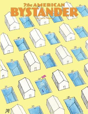 American Bystander #26