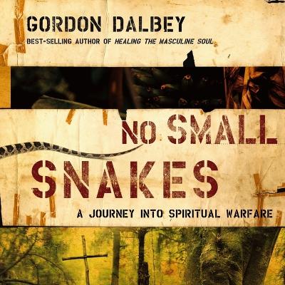 No Small Snakes: A Journey Into Spiritual Warfare