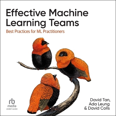 Effective Machine Learning Teams: Best Practices for ML Practitioners Unabridged edition