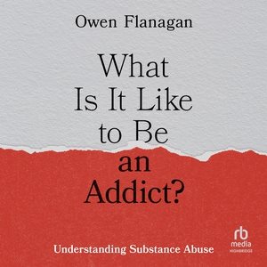 What Is It Like to Be an Addict?: Understanding Substance Abuse Unabridged edition