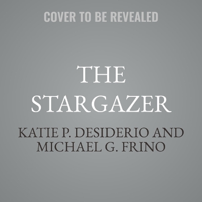 Stargazer: Unleashing the Brilliance of Building Brighter Teams Unabridged edition