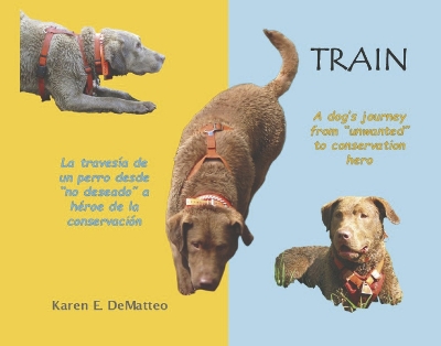 Train - A dog's journey's from 'unwanted' to conservation hero: La travesa de un perro desde 'no deseado' a heroe de la conservacin