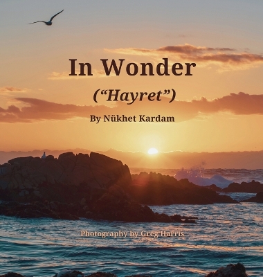 In Wonder (Hayret)