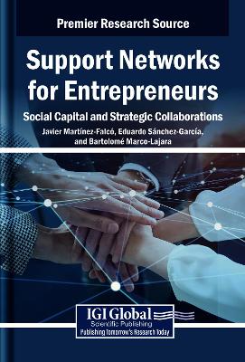 Support Networks for Entrepreneurs: Social Capital and Strategic Collaborations