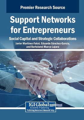 Support Networks for Entrepreneurs: Social Capital and Strategic  Collaborations
