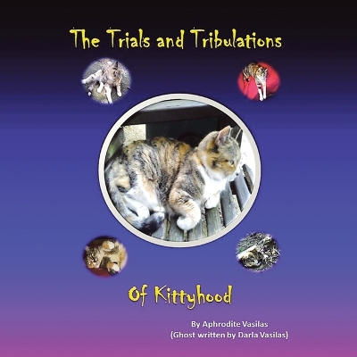 Trials and Tribulations of Kittyhood