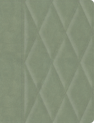 CSB Notetaking Bible, Large Print Edition, Sage Suedesoft Leathertouch Over  Board