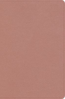 KJV Study Bible, Personal Size Edition, Rose Gold Leathertouch Personal Size ed.