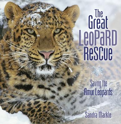 Great Leopard Rescue: Saving the Amur Leopards