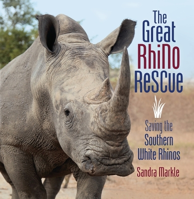 Great Rhino Rescue: Saving the Southern White Rhinos