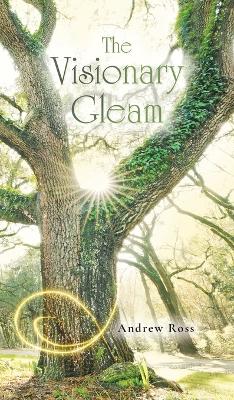 Visionary Gleam