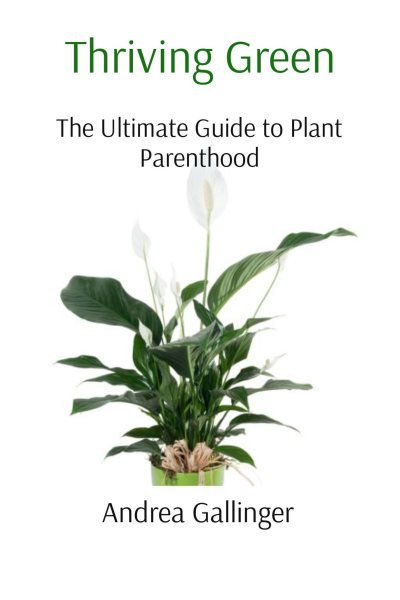 Thriving Green: The Ultimate Guide to Plant Parenthood