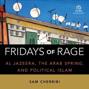 Fridays of Rage: Al Jazeera, the Arab Spring, and Political Islam Unabridged edition