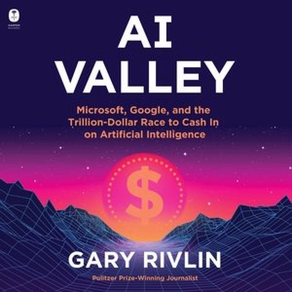 AI Valley: The Mad Dash to Cash in on Artificial Intelligence Library Edition