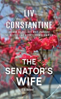 Senator's Wife Large type / large print edition