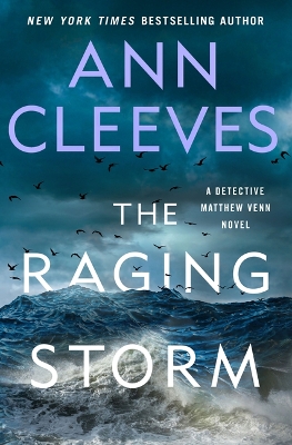 Raging Storm: A Detective Matthew Venn Novel Large type / large print edition