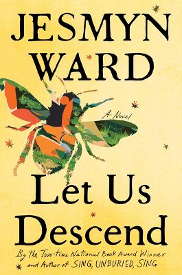Let Us Descend Large type / large print edition