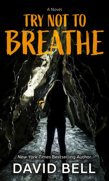 Try Not to Breathe Large type / large print edition