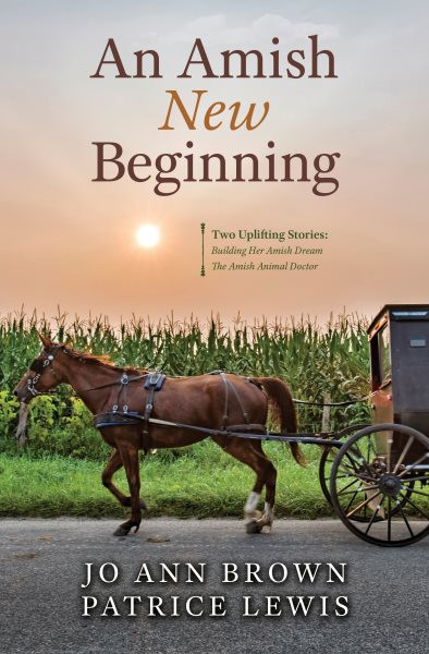 Amish New Beginning Large type / large print edition