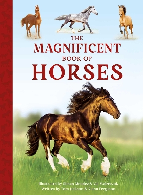 Magnificent Book of Horses