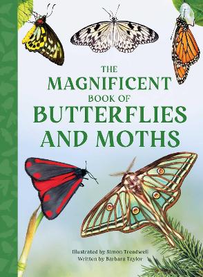 Magnificent Book of Butterflies & Moths