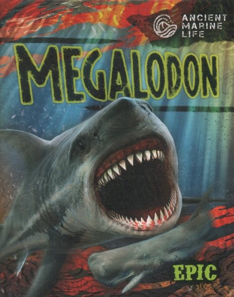 Megalodon