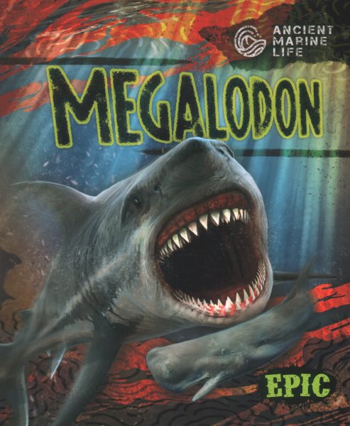 Megalodon