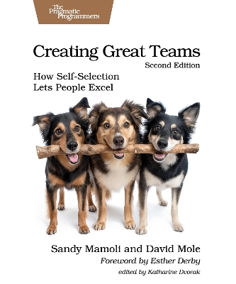 Creating Great Teams, Second: How Self-Selection Lets People Excel 2nd edition