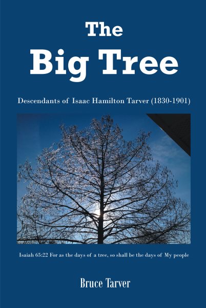 Big Tree