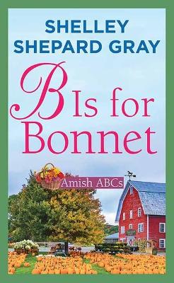 B Is for Bonnet: Amish ABCs Large type / large print edition