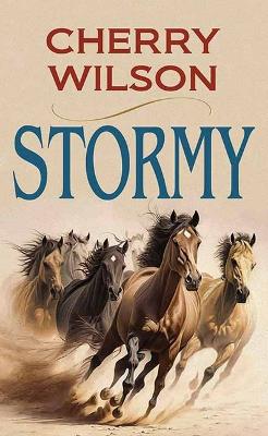 Stormy Large type / large print edition